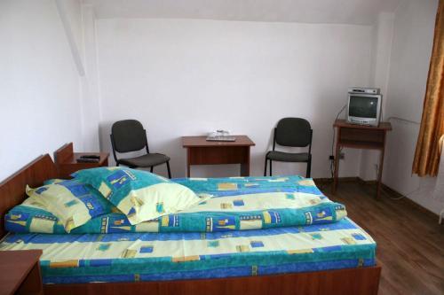 Hostal Pensiunea Pui De Urs Sirnea