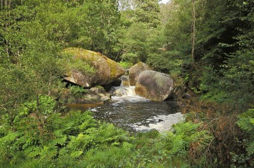Agroturismo Finca El Remanso