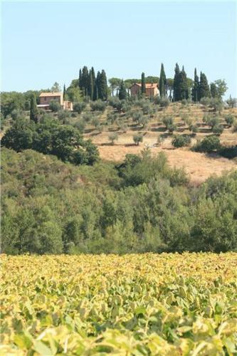 Hostal Villa Podere S. Gaetano
