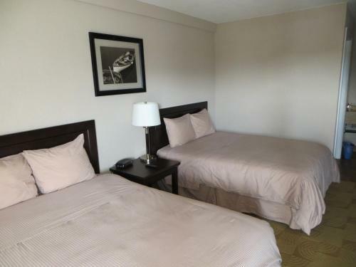 Motel Shoreside Inn & Suites