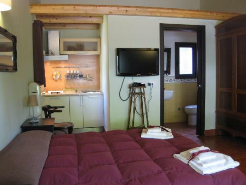 Bed & Breakfast Domus Verdiana