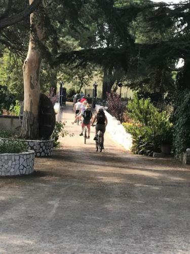 B&B Mandorla Amara