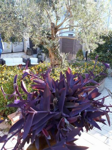 Hostal B&B Borgo Santa Margherita