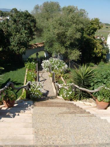 Casas Em Quinta Rural