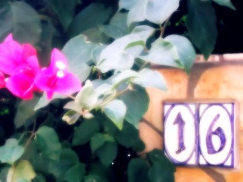 Apartamento Appartamento Buganville