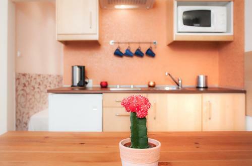 Apartamenty Storczykowa