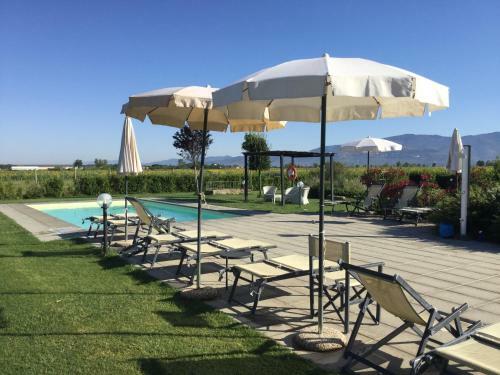 Agroturismo Terra Di Cortona
