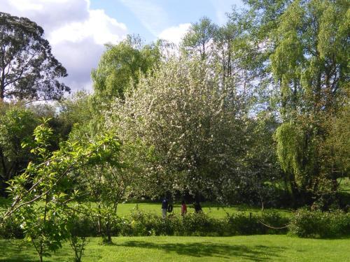 Agroturismo Casona De San Pantale�n De Aras