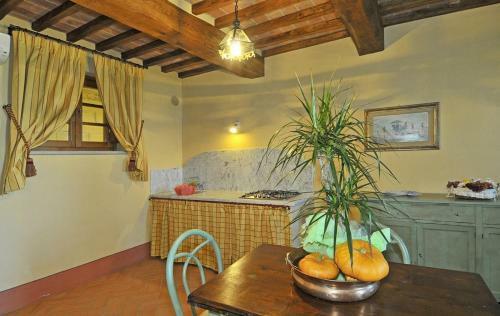 Agroturismo Agriturismo Cima Alla Serra