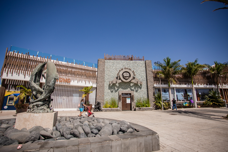 Apartamentos Caribe
