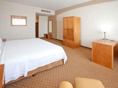 Hotel Holiday Inn Express San Luis Potosi