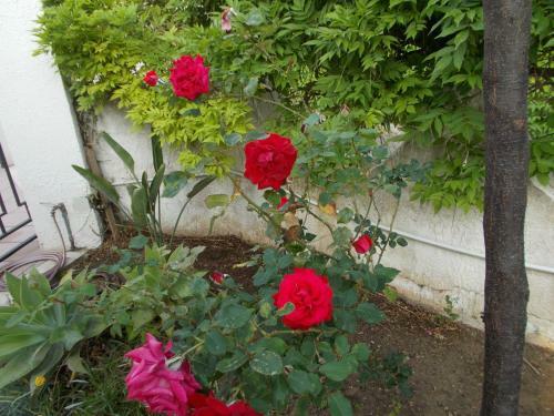 Holiday House Torre Di Manfria