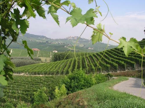 Agroturismo Cascina Sciulun