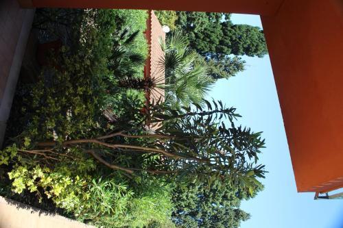 Hostal Agriturismo Ruralia