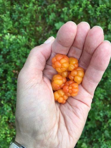 Lapland Dream Villas