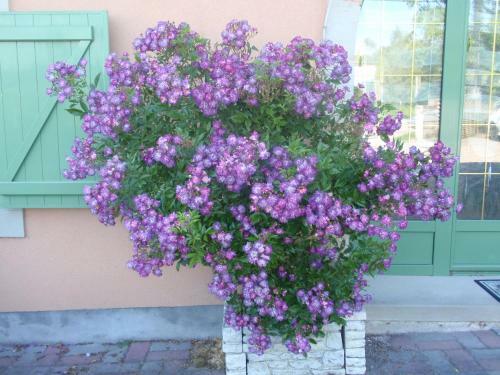 Bed & Breakfast H�bergements Insolites En Cabanes