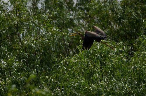 Agroturismo La Raducu
