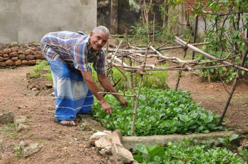 Bed & Breakfast Bangalawa