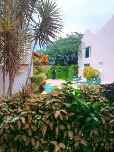 Apartamento Agua Clara Eco Suites
