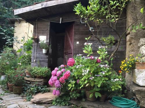 Hostal Centro Trekking A Cavallo Monte Brugiana