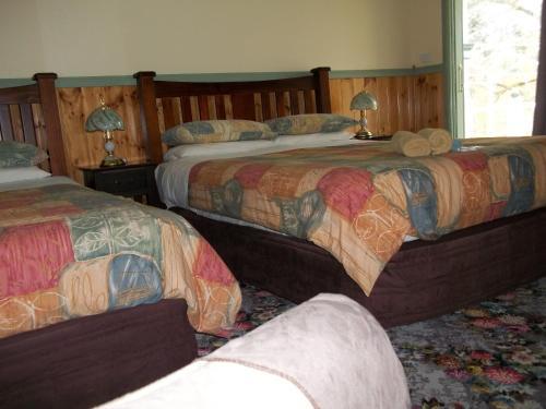Snug As A Bug Motel