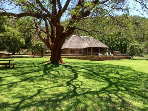 Lodge Olievenfontein Private Game Reserve