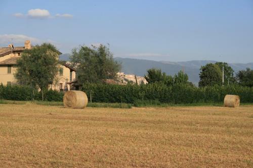 Hostal Residenza Isabella