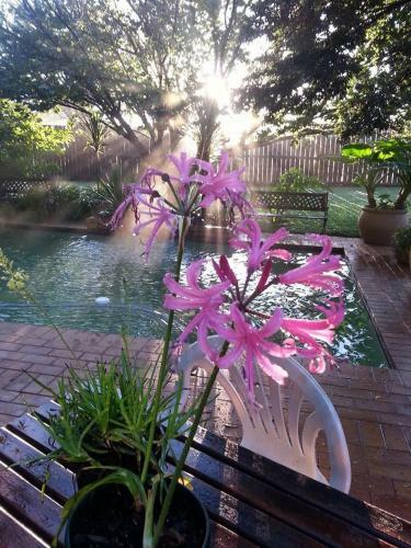 Bed & Breakfast Midrand Wild Goose Guest House
