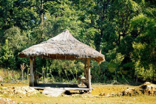 Nature Safari Lodge
