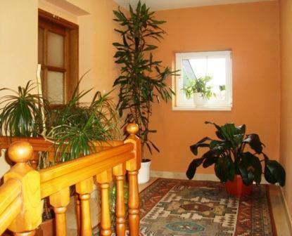 Hostal Motel Kod Bakija