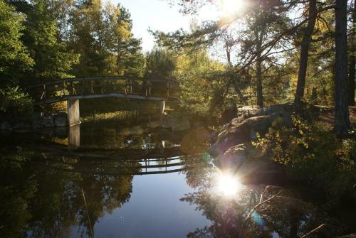 �sj�n�s