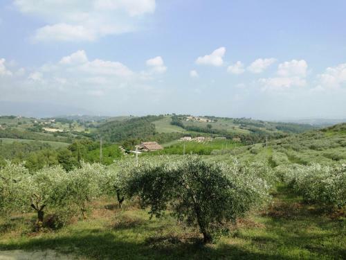 Agroturismo Agriturismo Belsito Pian Di Boccio