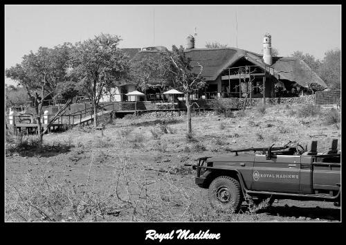 Royal Madikwe Luxury Safari Lodge