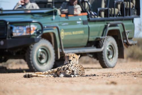 Royal Madikwe Luxury Safari Lodge