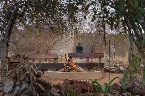 Royal Madikwe Luxury Safari Lodge