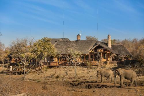 Royal Madikwe Luxury Safari Lodge