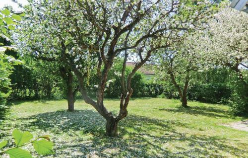 Holiday Home Lertagsv�gen M�rbyl�nga II