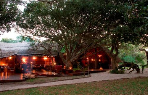 Kosi Forest Lodge