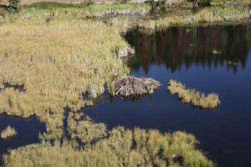 Hotel Lac Le Jeune Resort & Nature Centre
