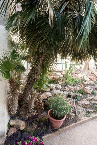 Apartamento Eshkol Housing Haifa