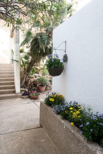 Apartamento Eshkol Housing Haifa