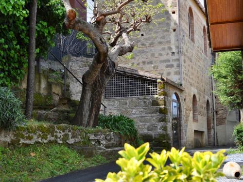 Agroturismo Tenuta Torchio Antico