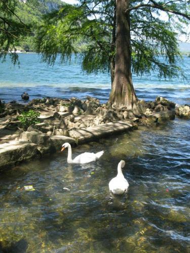 Apartamento Home Nantua Studio Meubl�s Ain-jura