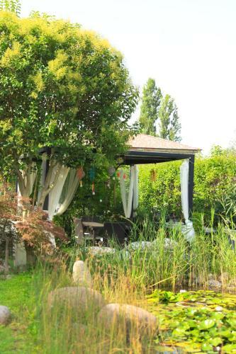 Agroturismo B&B Torricella