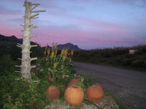 Hostal Dilksnes Guesthouse