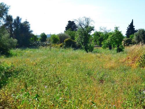 Holiday Home Del Carrubo Lido Di Noto