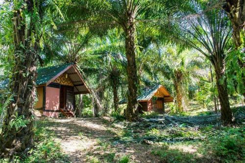 Hotel Khao Sok Silver Cliff Resort