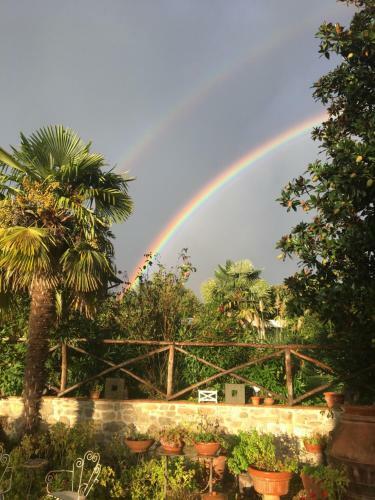 Agroturismo Fattoria I Ciliegi