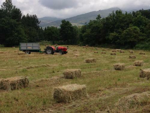 Agroturismo Fattoria I Ciliegi