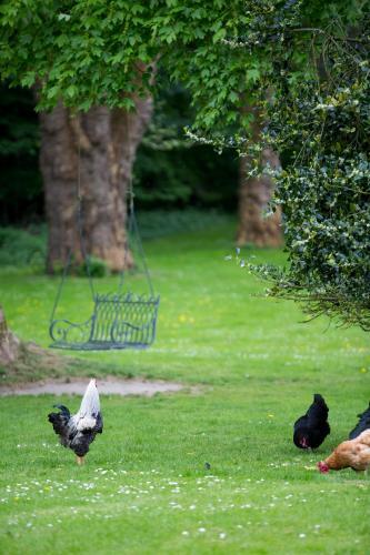 Bed & Breakfast Nyk�bing Falster